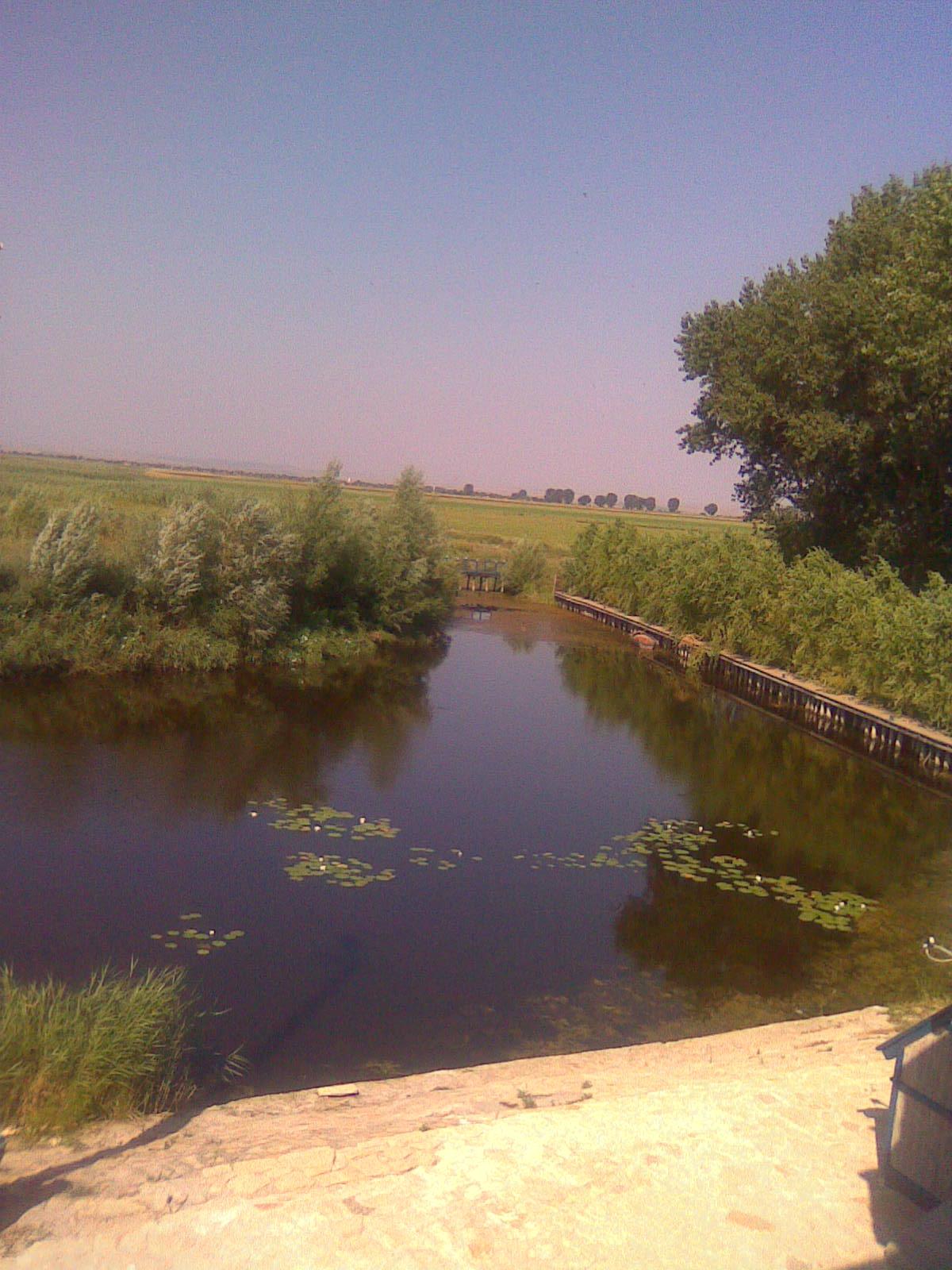 Lunca 2 - image412.jpg